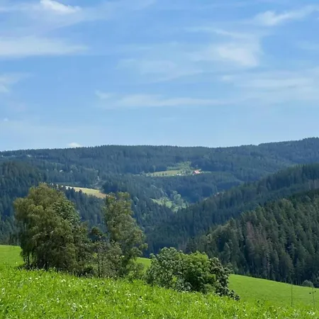 With Terrace In The Black Forest Sankt Georgen im Schwarzwald