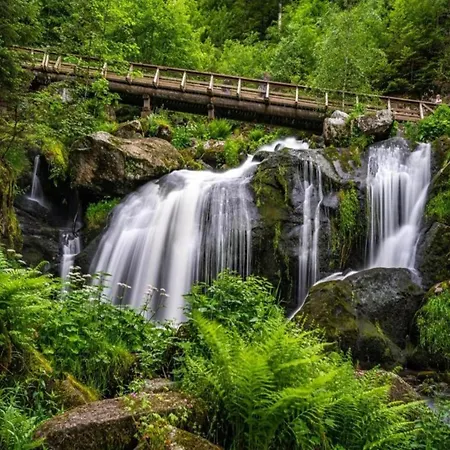 Сasa de vacaciones Ferienhaus, Schwarzwald *