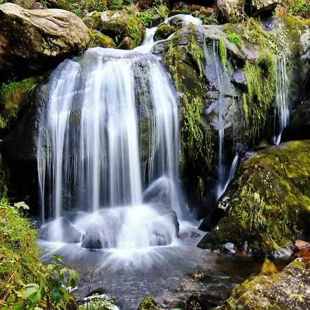 Ferienhaus, Schwarzwald Сasa de vacaciones