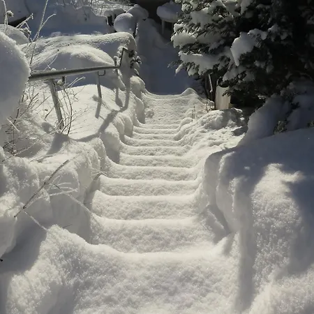 Ferienhaus, Schwarzwald Сasa de vacaciones *