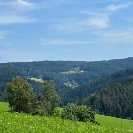 Ferienhaus, Schwarzwald *