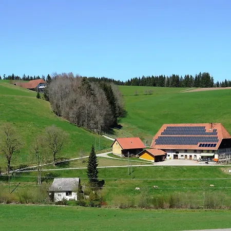 Ferienhaus, Schwarzwald * Sankt Georgen im Schwarzwald