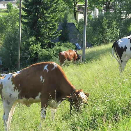 Ferienhaus, Schwarzwald *